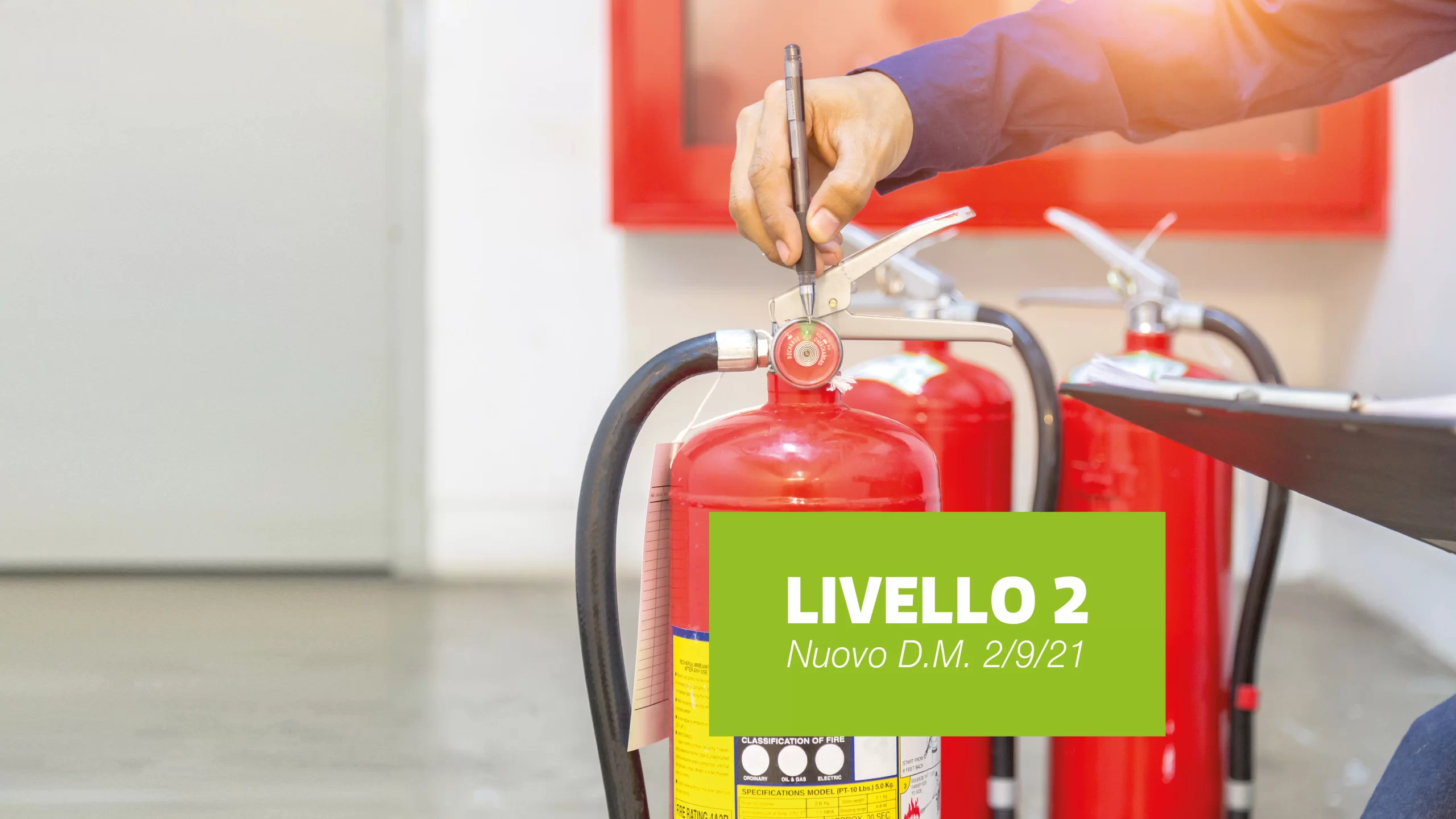 product 31 import image scaled